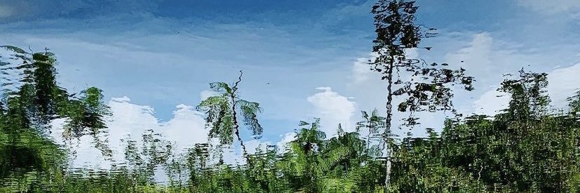 AndresF_Gomez's profile banner image