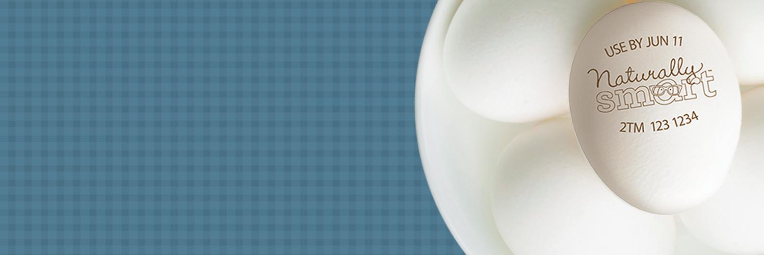 NaturallySmart_'s profile banner image