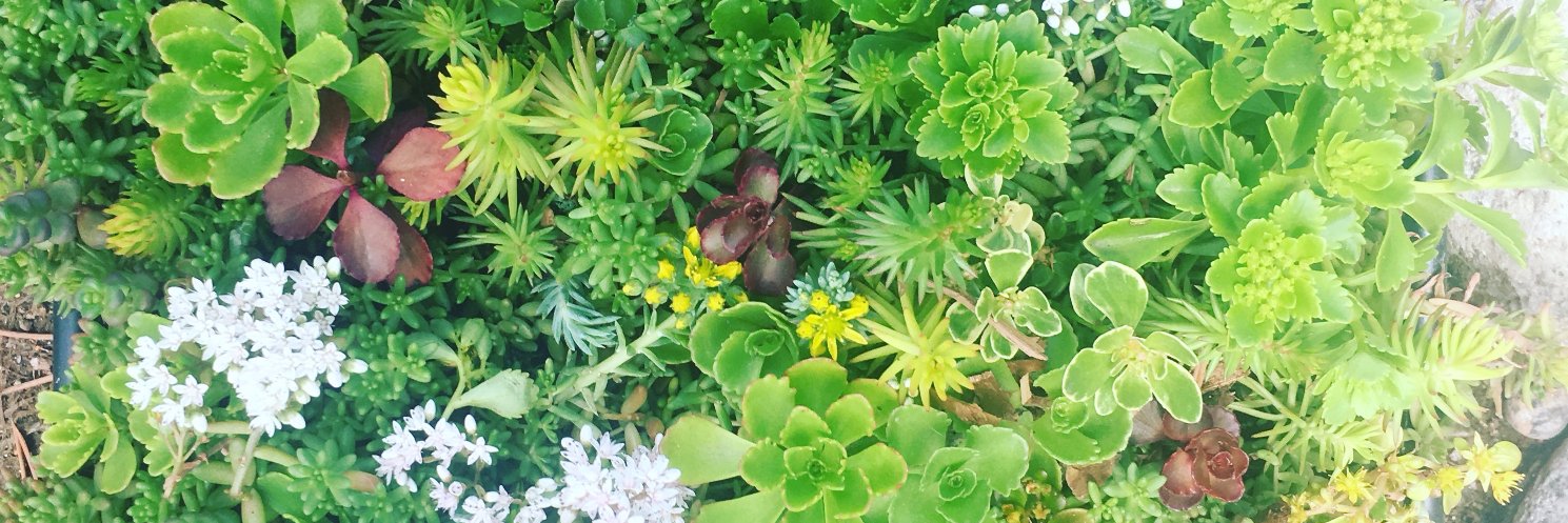 Maddybeckmann's profile banner image