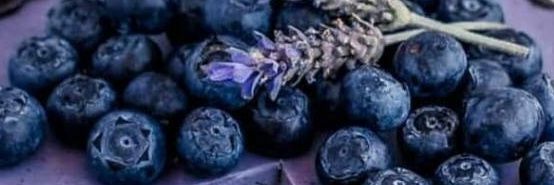 inga253's profile banner image