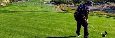 Tyler Stene banner