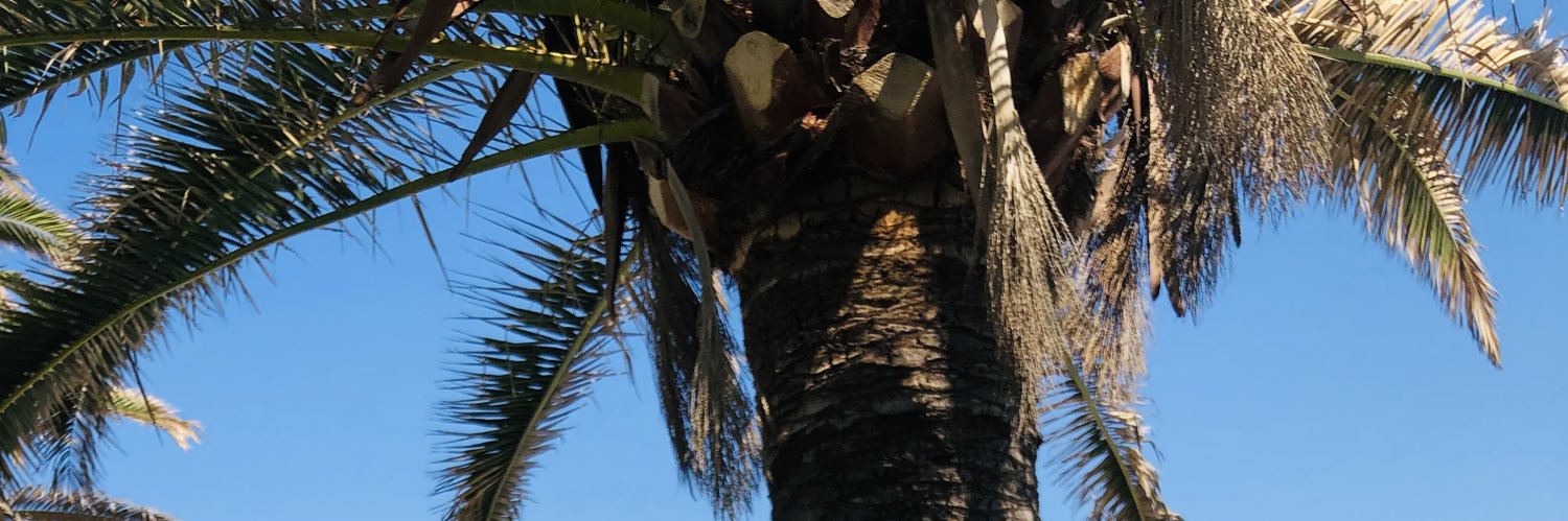 EvaMM7_'s profile banner image
