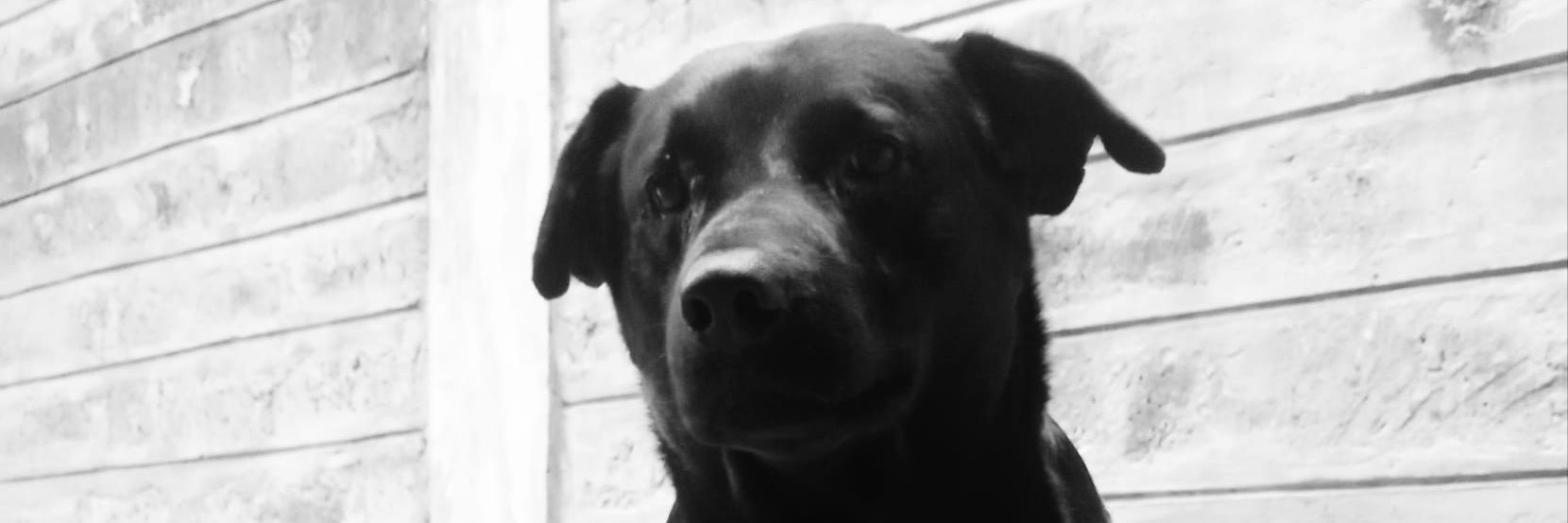 ChebetWK's profile banner image