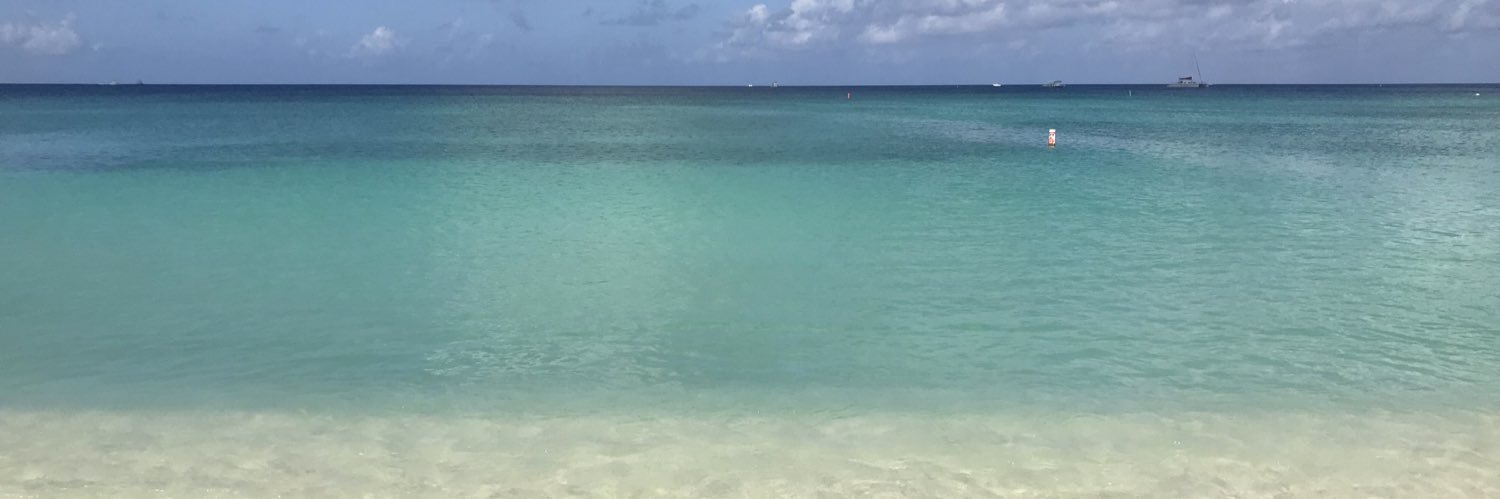 isabelladel's profile banner image