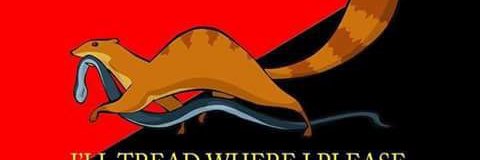 gator_teeth's profile banner image