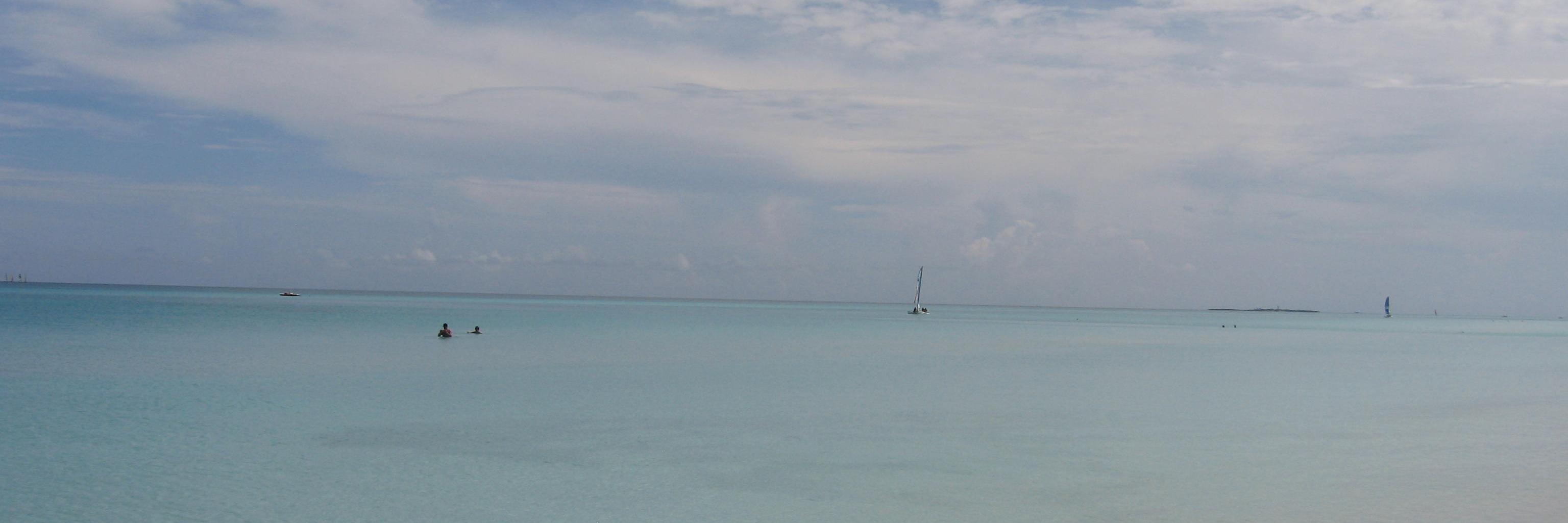 FiMackinnon's profile banner image