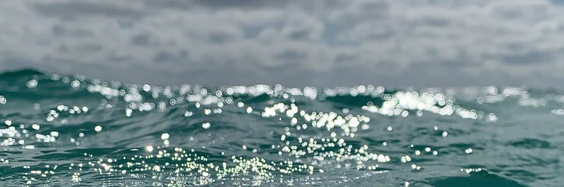 Sun_shinely's profile banner image