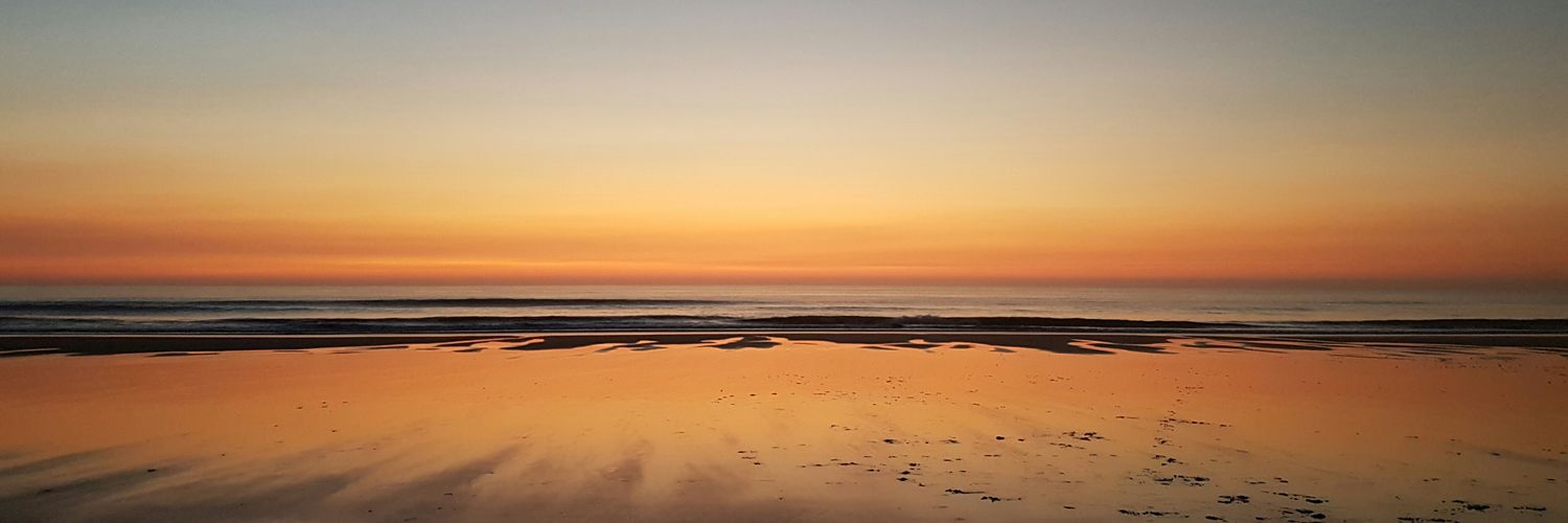 Playocean's profile banner image