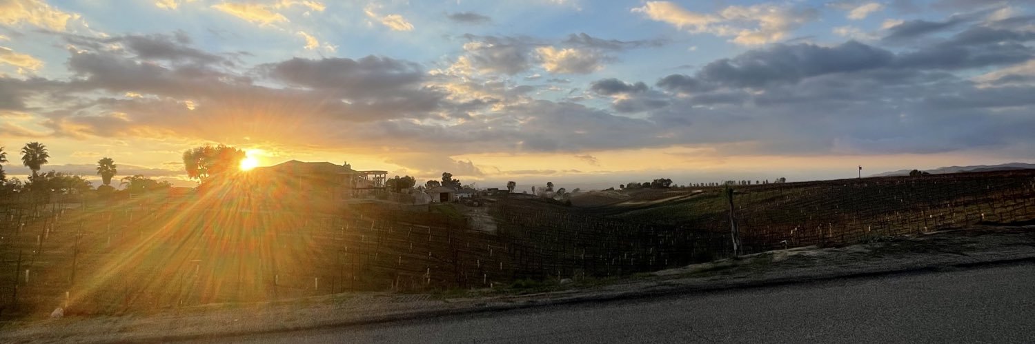 Michael Corlee banner