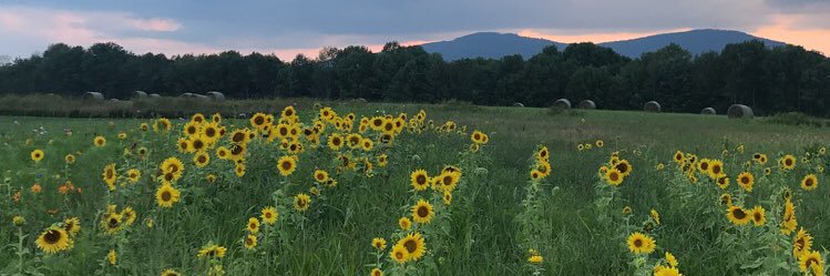 eriley21's profile banner image