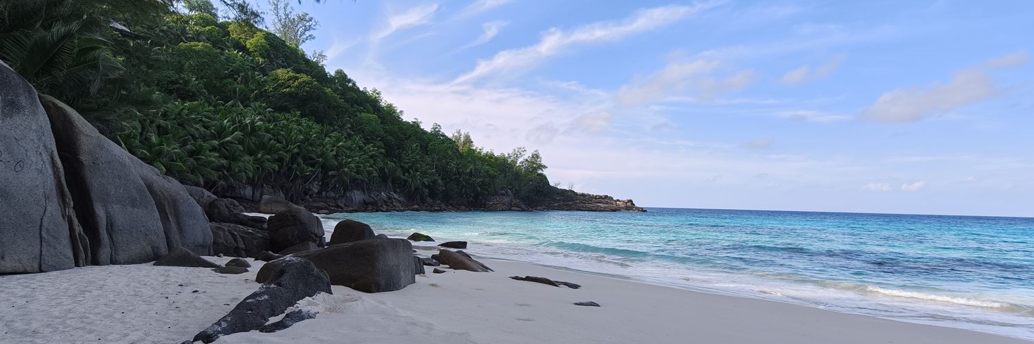 Dylan Brassel banner