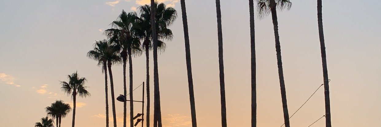 alisonhz_'s profile banner image