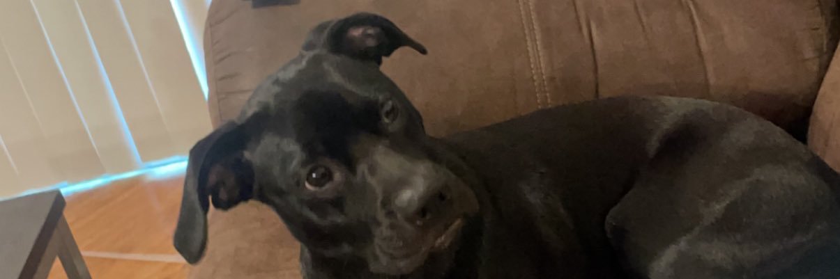 danitza_xoxo's profile banner image
