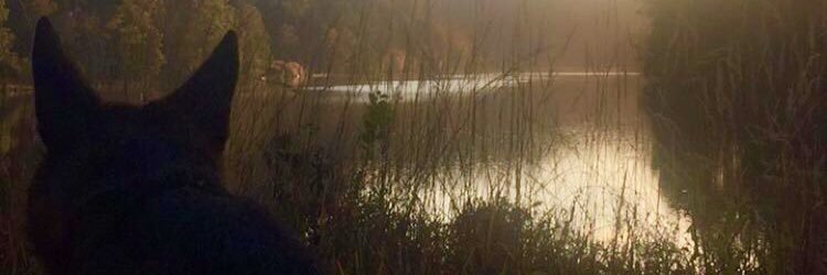 Dvernon2's profile banner image