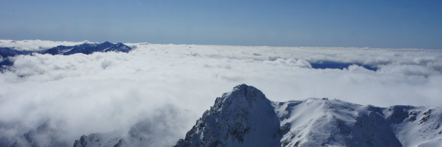 Illogicalzen banner
