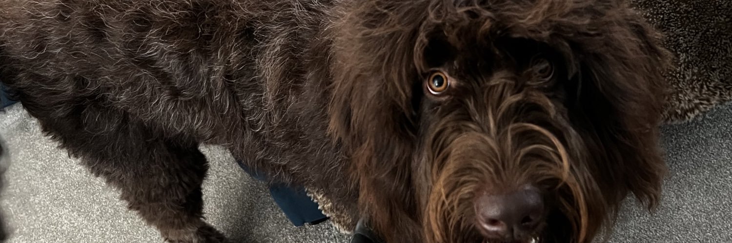 EllieJenner's profile banner image