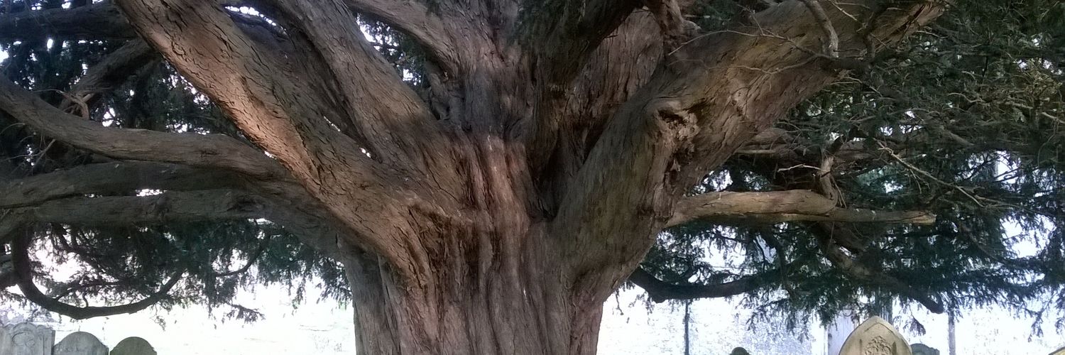 midgeymum's profile banner image