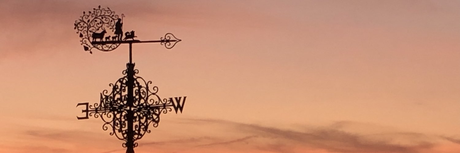 WitchHunted2's profile banner image