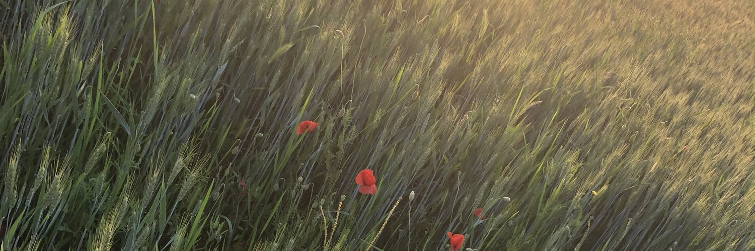 cambrnrd's profile banner image
