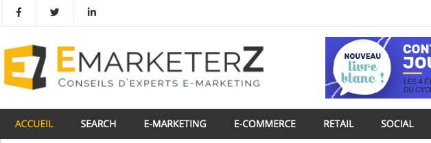 EmarketerZ banner