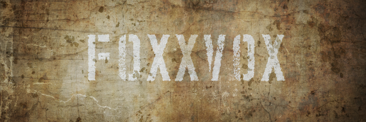 FoxxVox's profile banner image
