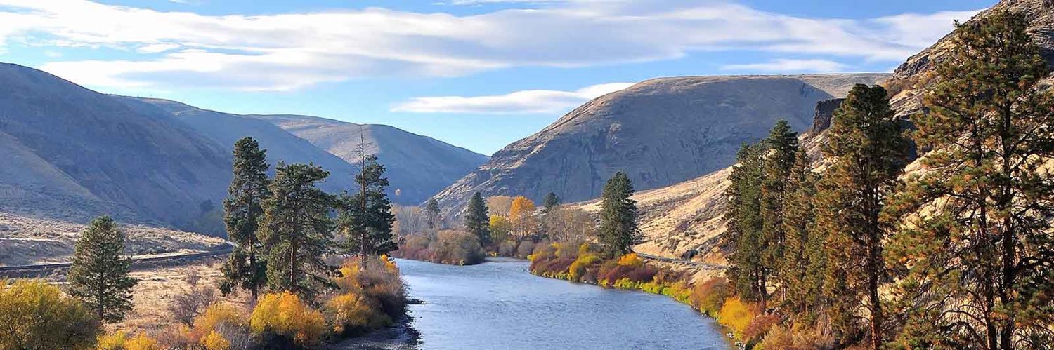 Kelly Fitzpatrick banner