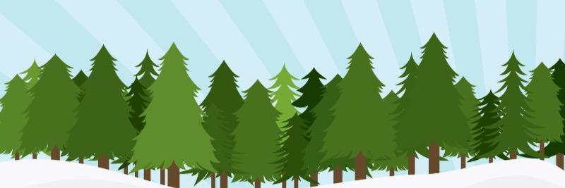 LTPinetree's profile banner image