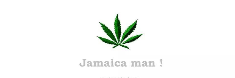 userofcannabis_'s profile banner image