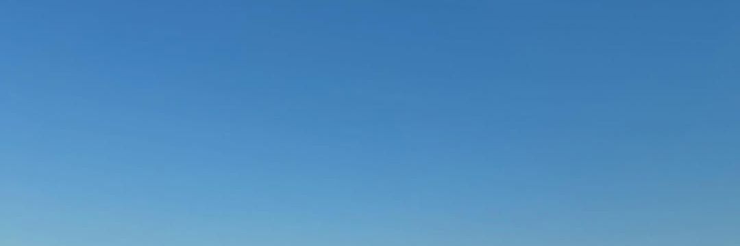 la🦩 banner