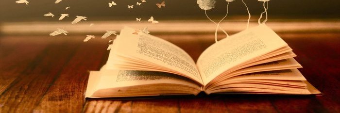 ibrahem_chim's profile banner image