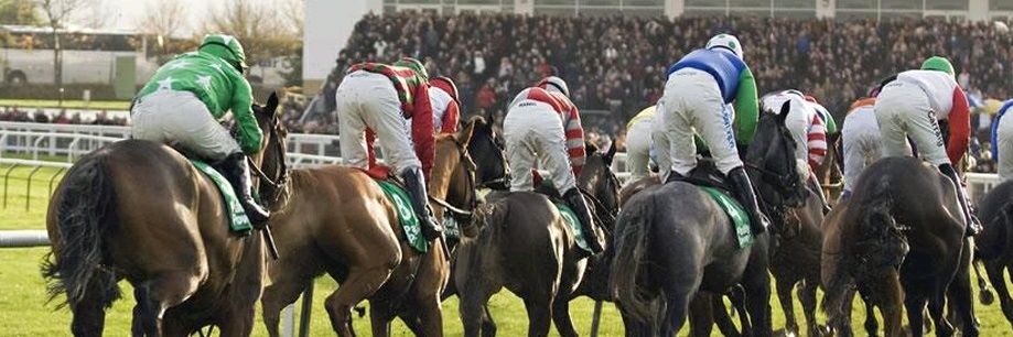 SimplyHorseTips banner