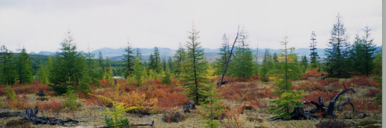 BHFBLEIRF's profile banner image