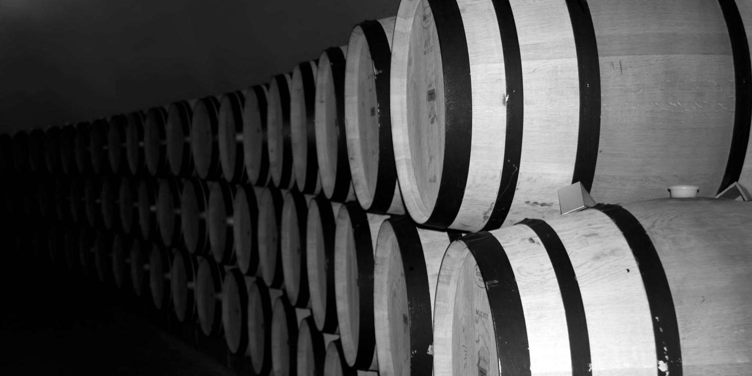 William Dougherty banner