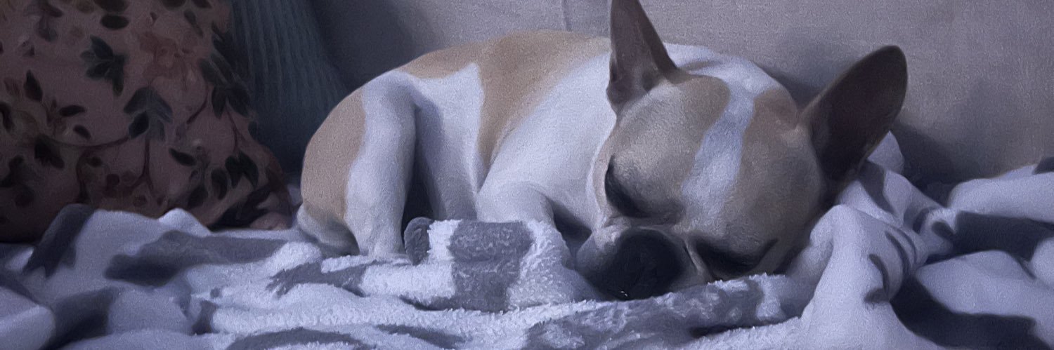 SOUL PSYCHOLOGIST banner