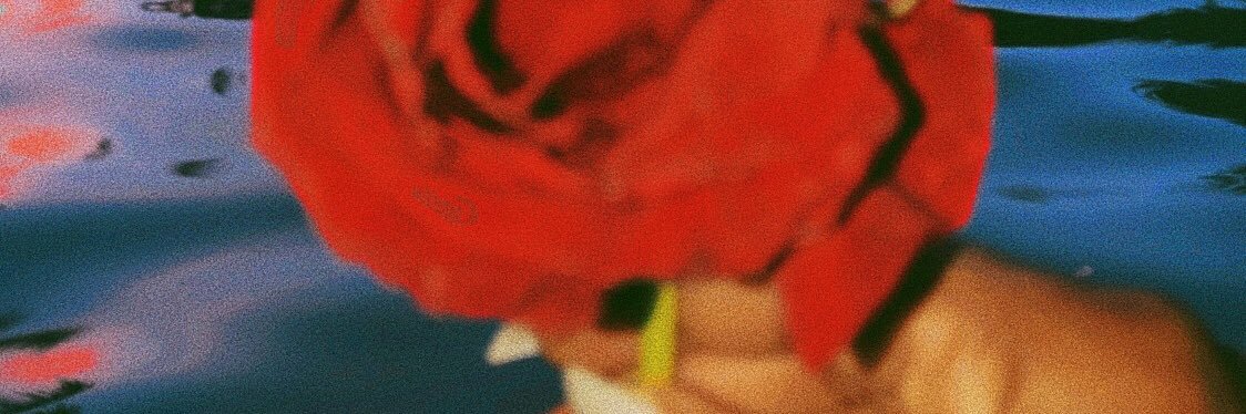 imnother____'s profile banner image