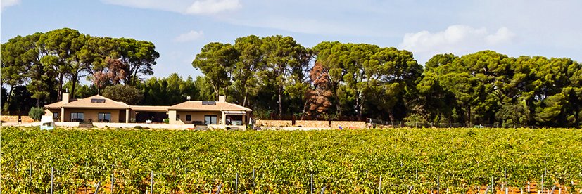 monteHigueras's profile banner image