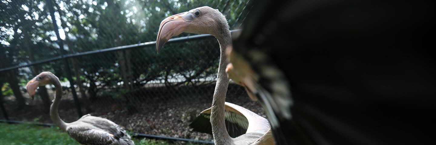 Jonathan Aguilar banner