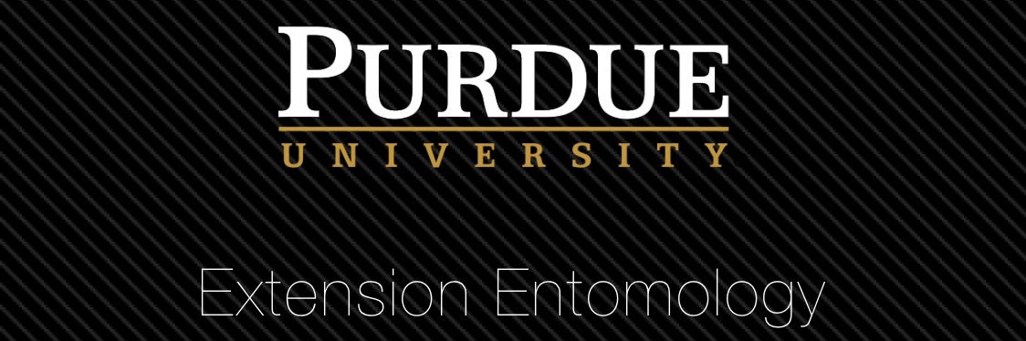 Extension Entomology banner