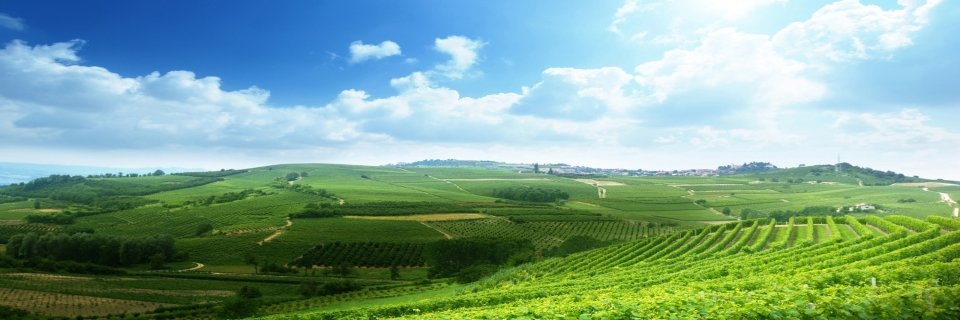 RuthFhame's profile banner image