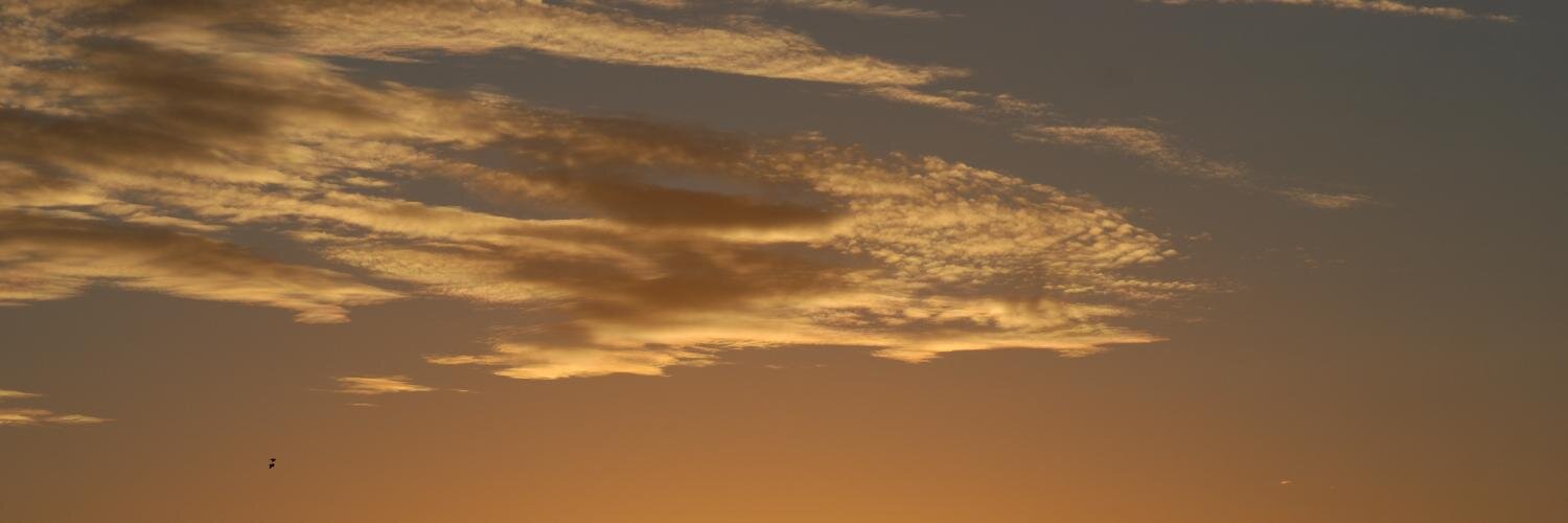 danielbulju's profile banner image