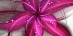 aphroditie01's profile banner image