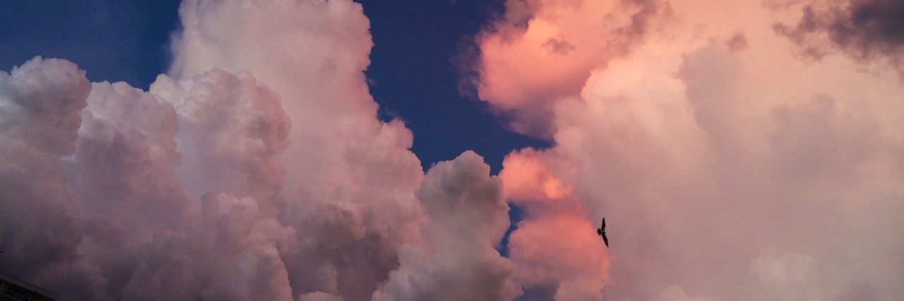 ruthinbloom's profile banner image