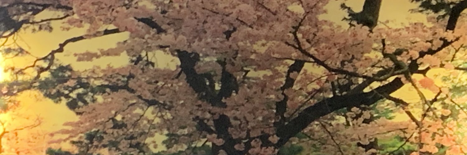 Cameronisrad_'s profile banner image