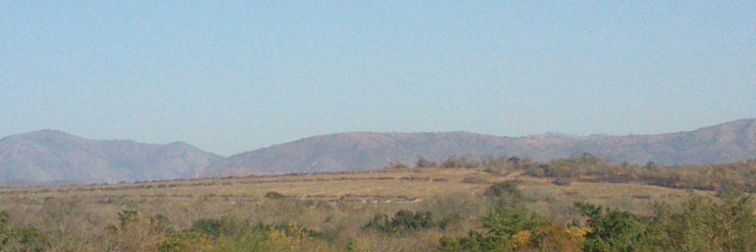 mbhamzin's profile banner image