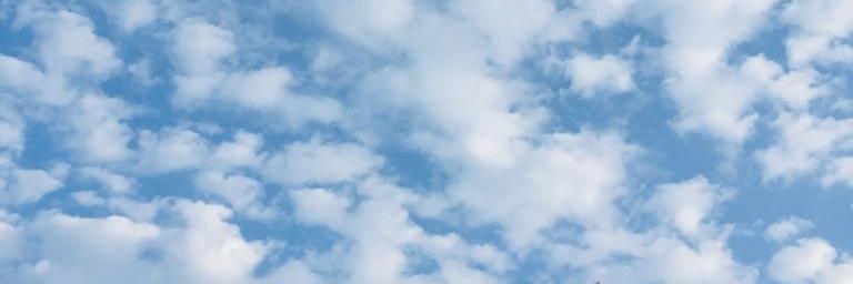 burcucuv's profile banner image