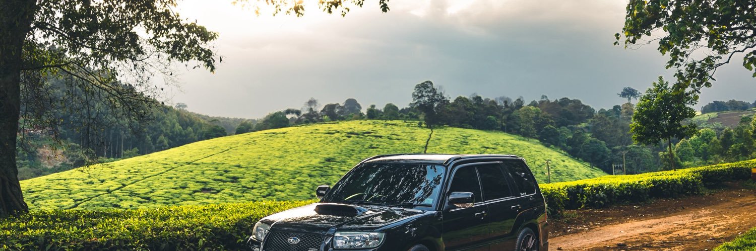 Mario Charts 📈 banner