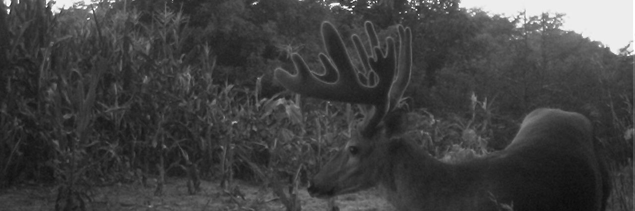 toddketcham65's profile banner image