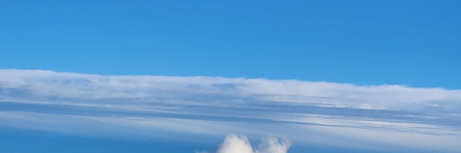 ars31040915's profile banner image