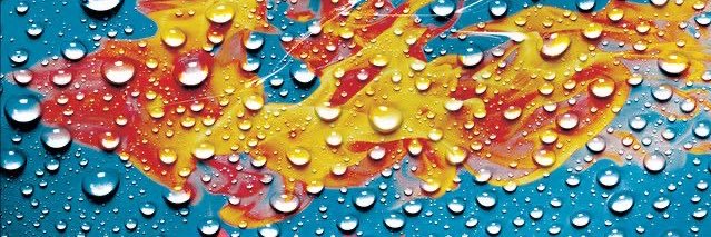Champagne_Buddy's profile banner image