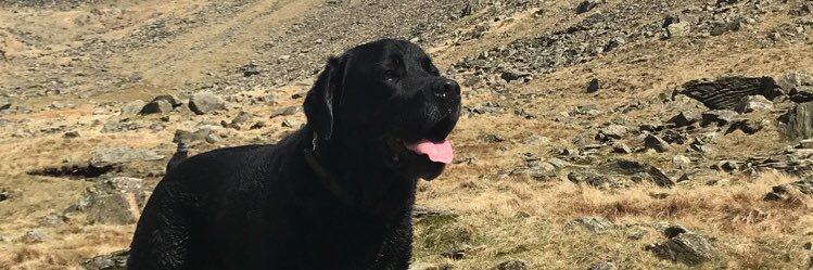 lurky26's profile banner image